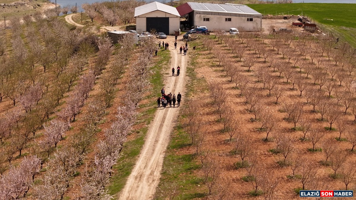 A A 20260415 41113454 41113453 A G I N D A B A D E M C I C E G I F E S T I V A L I D U Z E N L E N D I