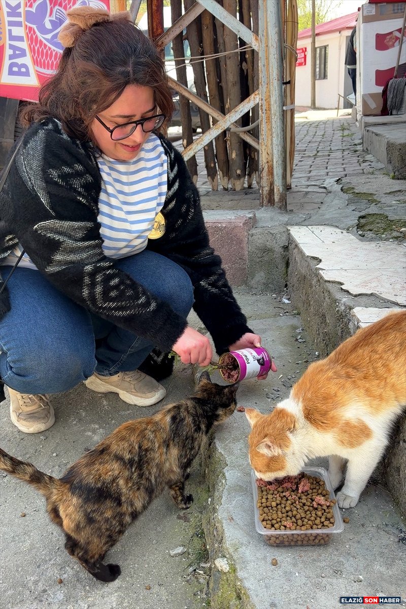 A A 20260426 41216099 41216097 E L A Z I G D A U N I V E R S I T E O G R E N C I L E R I N D E N S A H I P S I Z K E D I L E R E M A M A D E S T E G I