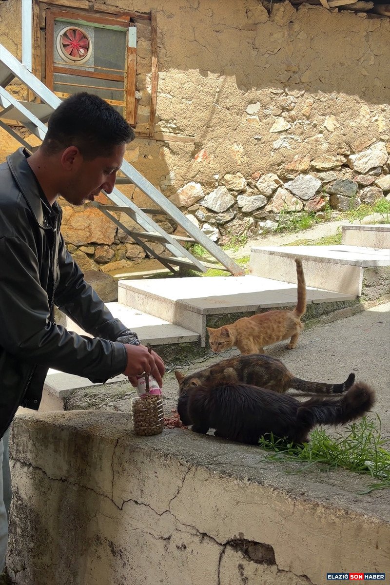 A A 20260426 41216099 41216098 E L A Z I G D A U N I V E R S I T E O G R E N C I L E R I N D E N S A H I P S I Z K E D I L E R E M A M A D E S T E G I