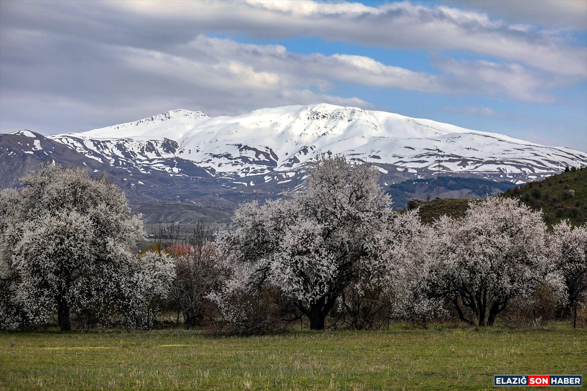 A A 20260429 41239181 41239172 H A Z A R G O L U Z I Y A R E T C I L E R I N E B A H A R I N V E K I S I N R E N K L E R I N I B I R A R A D A S U N U Y O R