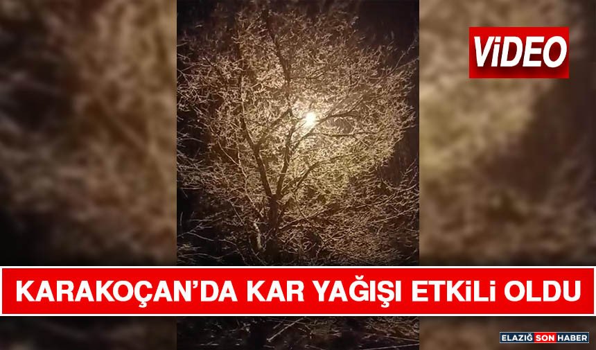 Karakoçan’da Kar Yağışı Etkili Oldu