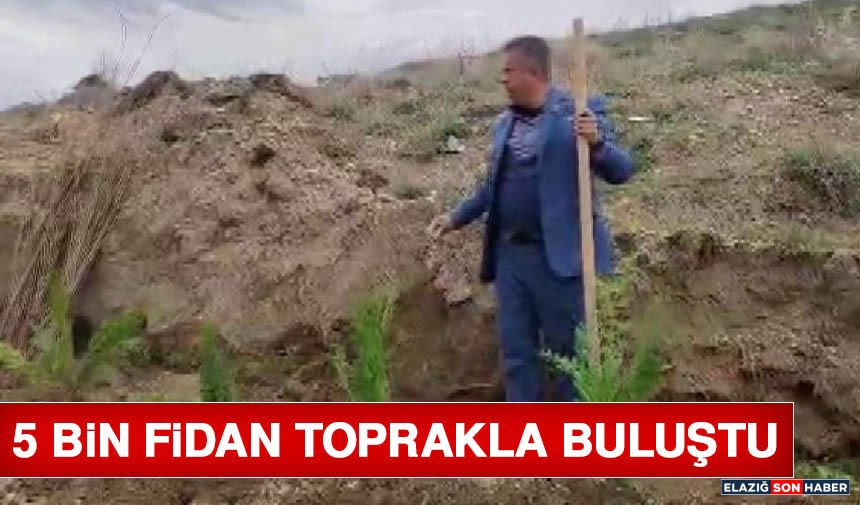 5 Bin Fidan Toprakla Buluştu