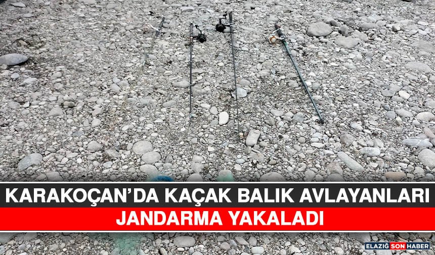 Karakoçan’da Kaçak Balık Avlayanları Jandarma Yakaladı