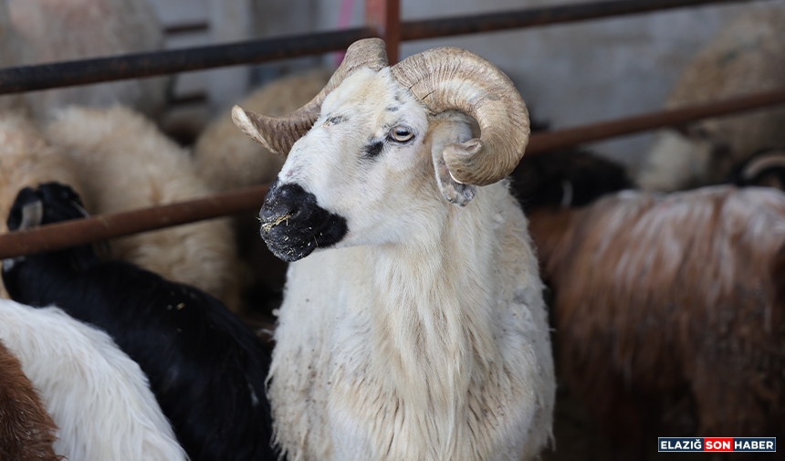 Untitled 1 Recovered-67