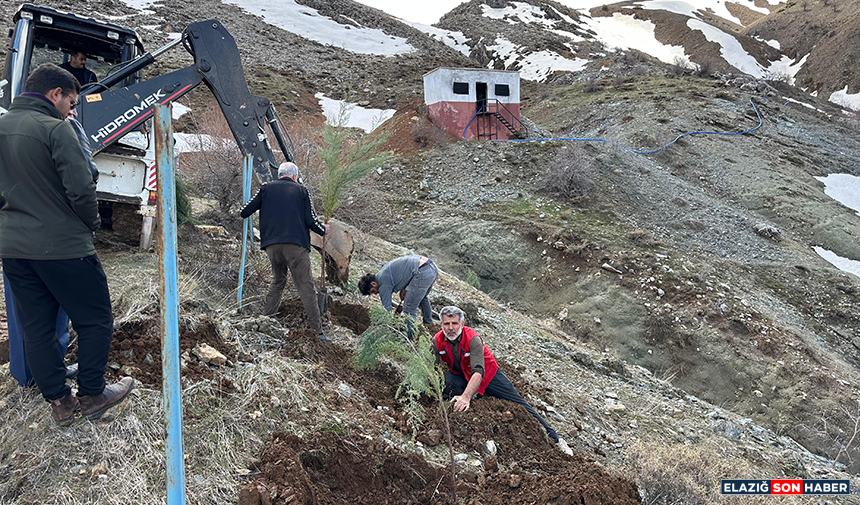 Untitled 1 Recovered Recovered X