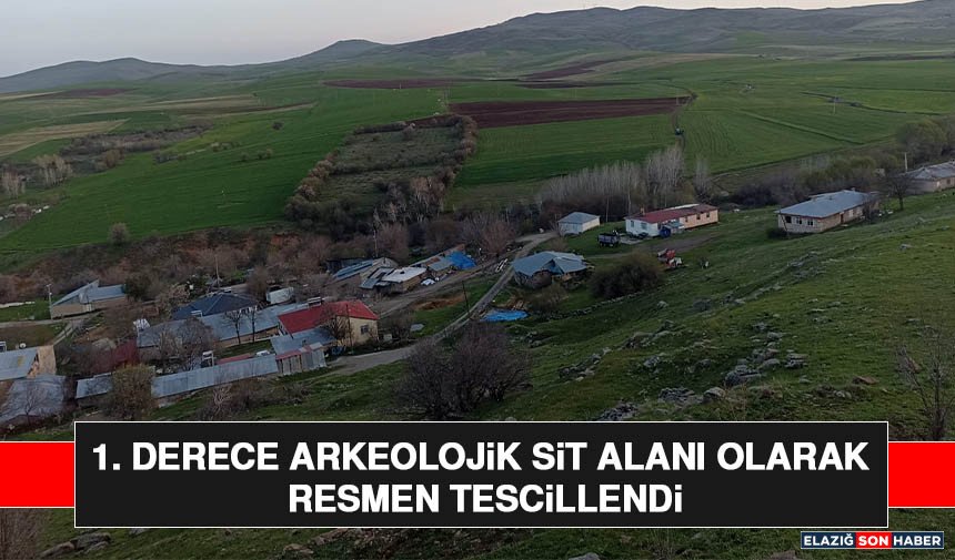 1. Derece Arkeolojik Sit Alanı Olarak Resmen Tescillendi