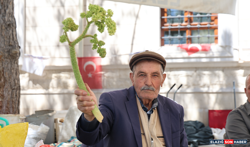 Untitled 2 Recovered-146