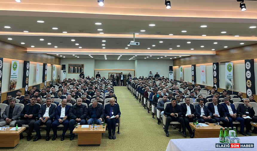 Untitled 2 Recovered-15