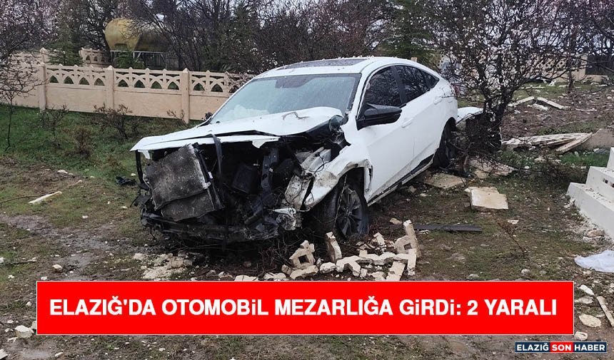 Elazığ'da Otomobil Mezarlığa Girdi: 2 Yaralı