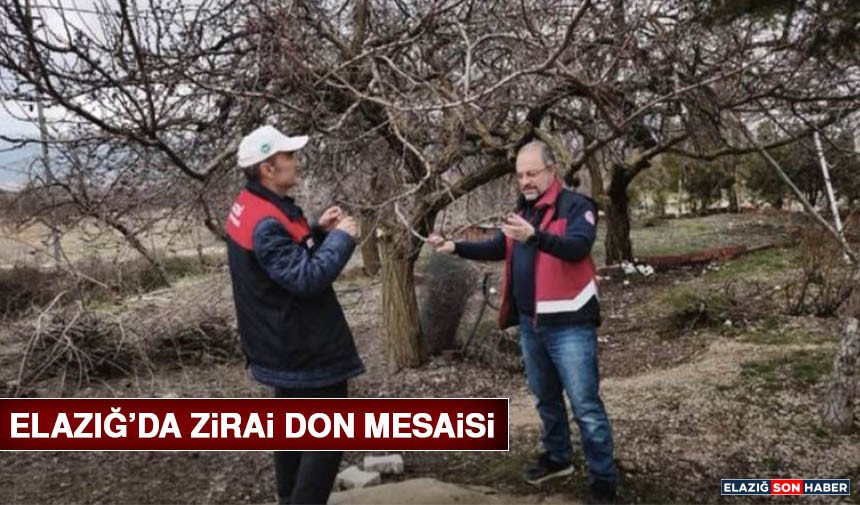 Elazığ’da Zirai Don Mesaisi