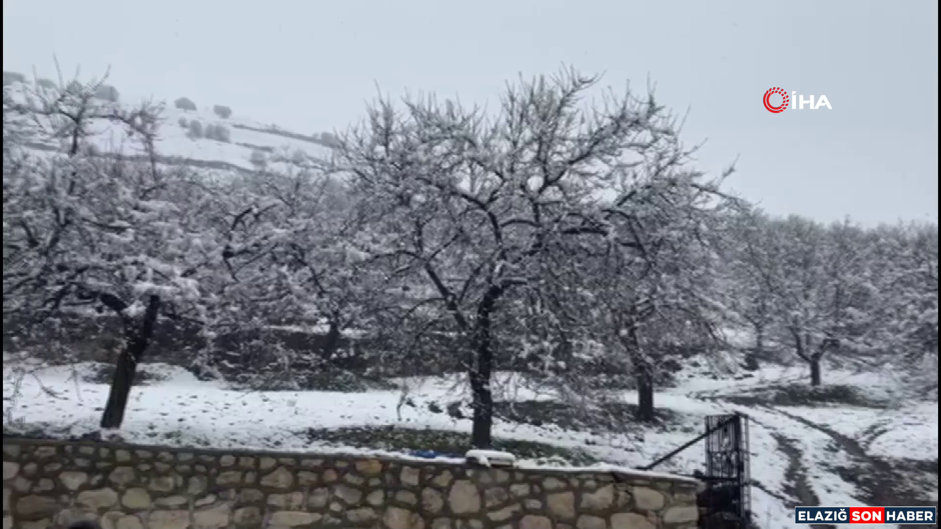 Vlcsnap 2026 04 11 12H04M49S543