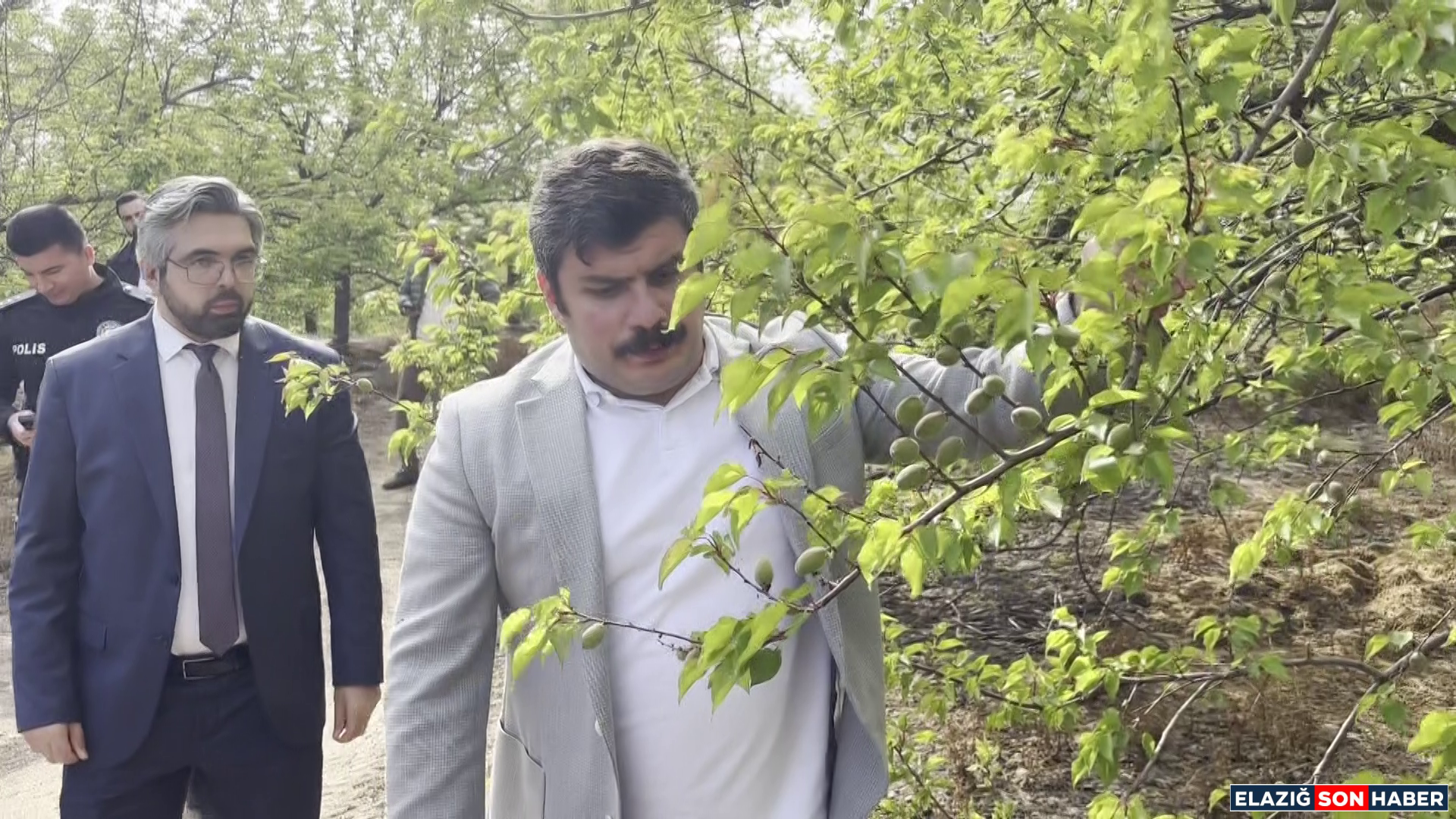 Vlcsnap 2026 04 25 17H40M56S705