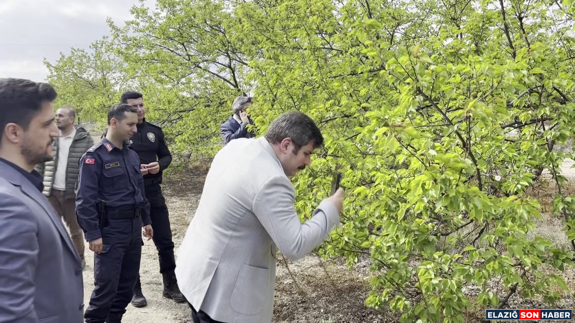 Vlcsnap 2026 04 25 17H41M12S071