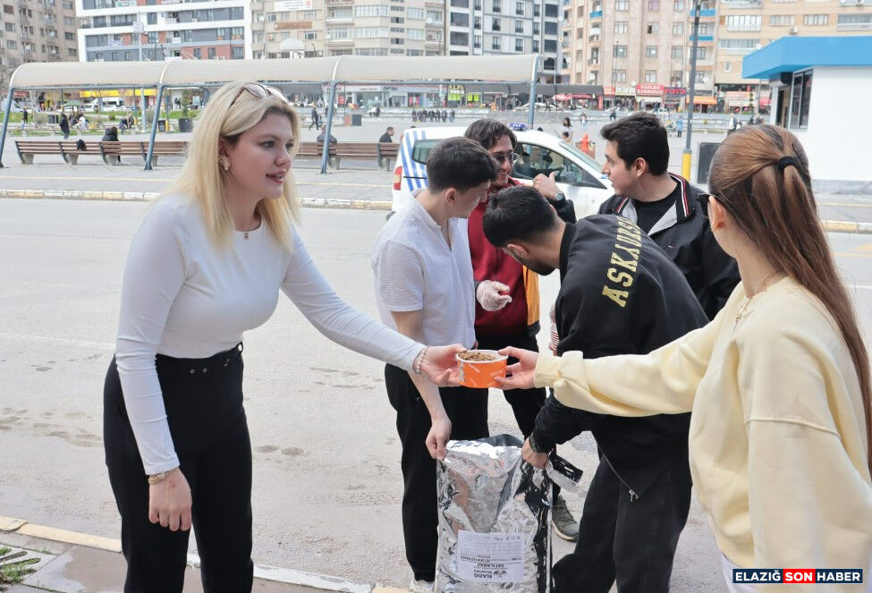 Whatsapp Image 2026 04 05 At 13.45.18 (2)