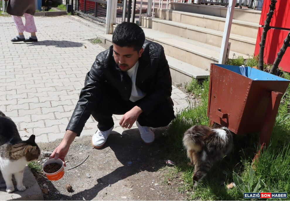 Whatsapp Image 2026 04 05 At 13.45.20 (1)