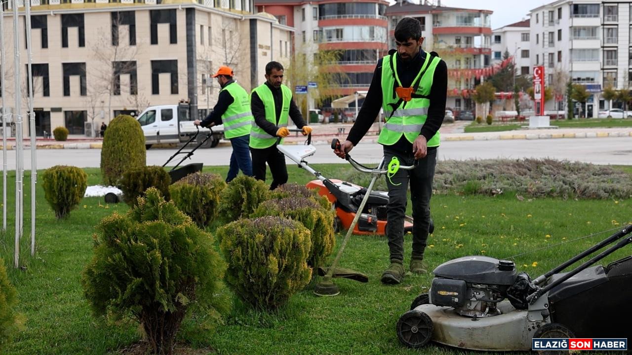 Whatsapp Image 2026 04 12 At 12.26.34 (5)