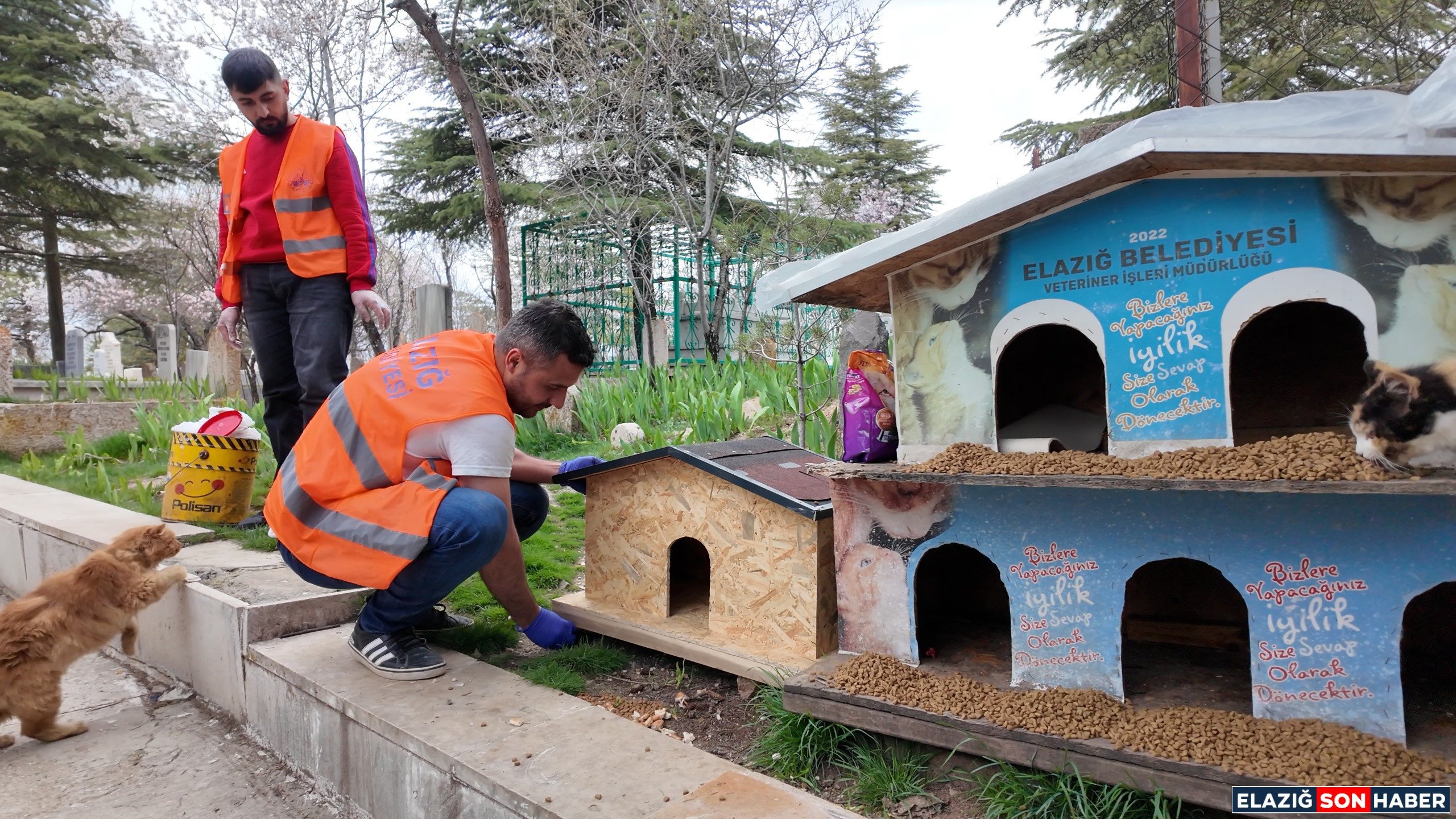 Whatsapp Image 2026 04 19 At 10.48.57 (1)