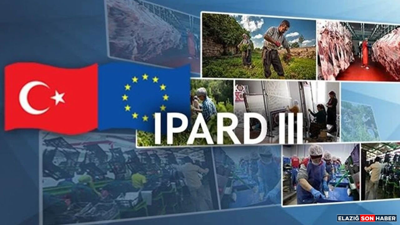 07 08 24 Ipard 1