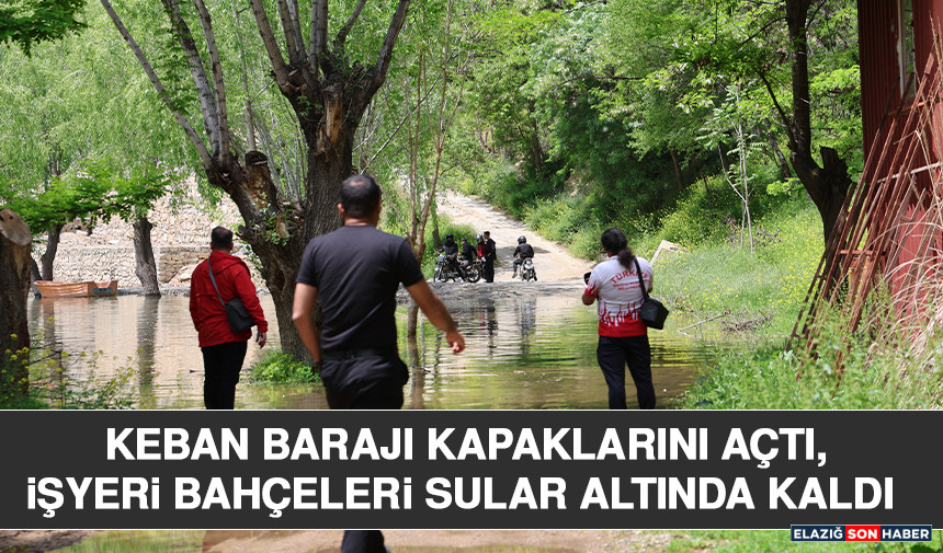 Keban Barajı Kapaklarını Açtı, İşyeri Bahçeleri Sular Altında Kaldı