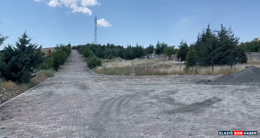 1782636951 3123E