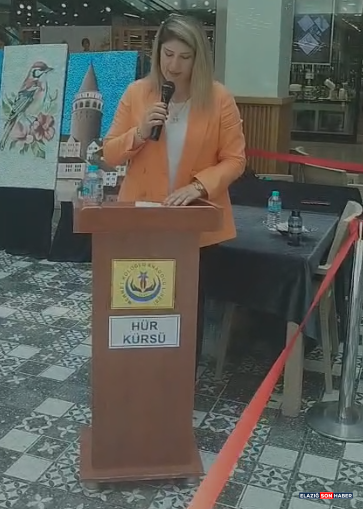 Ekran Görüntüsü 2026 06 10 163021