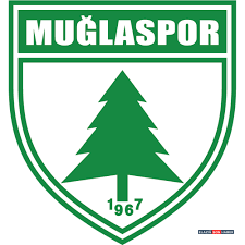 Images-8