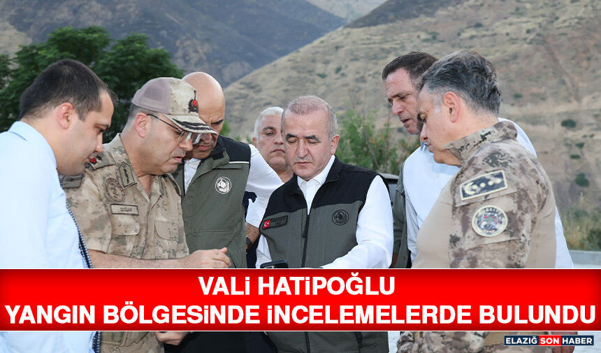 Vali Hatipoğlu Yangın Bölgesinde İncelemelerde Bulundu