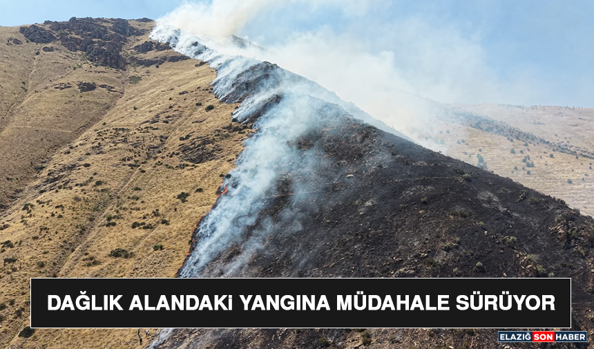 Dağlık Alandaki Yangına Müdahale Sürüyor