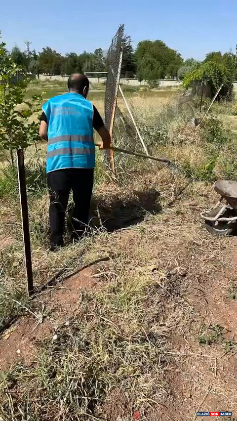 1786715709 3