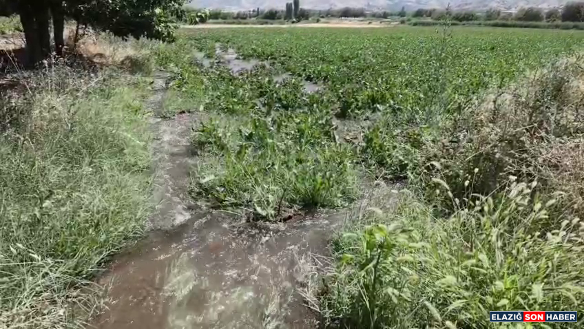 Vlcsnap 2026 08 07 17H32M09S970