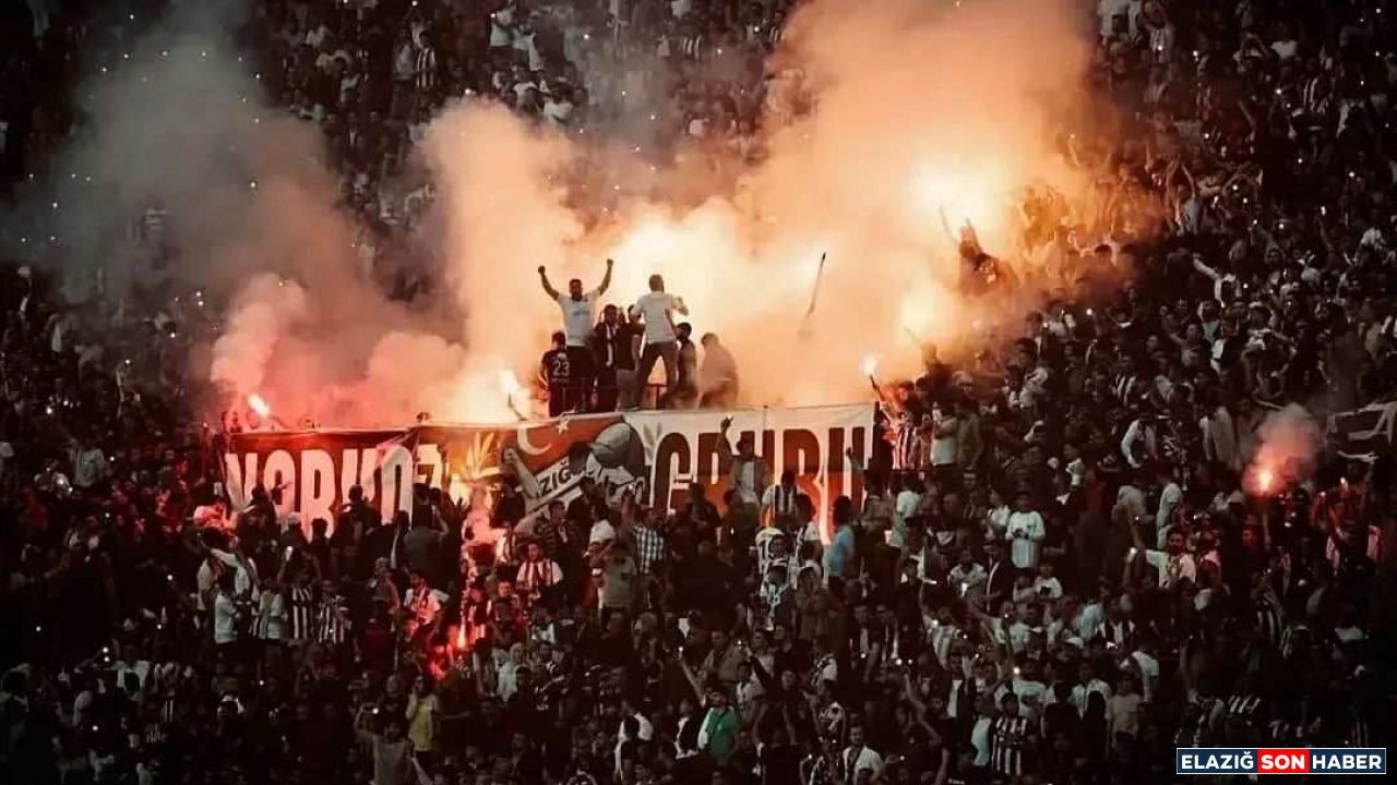 Narkoz Grubu