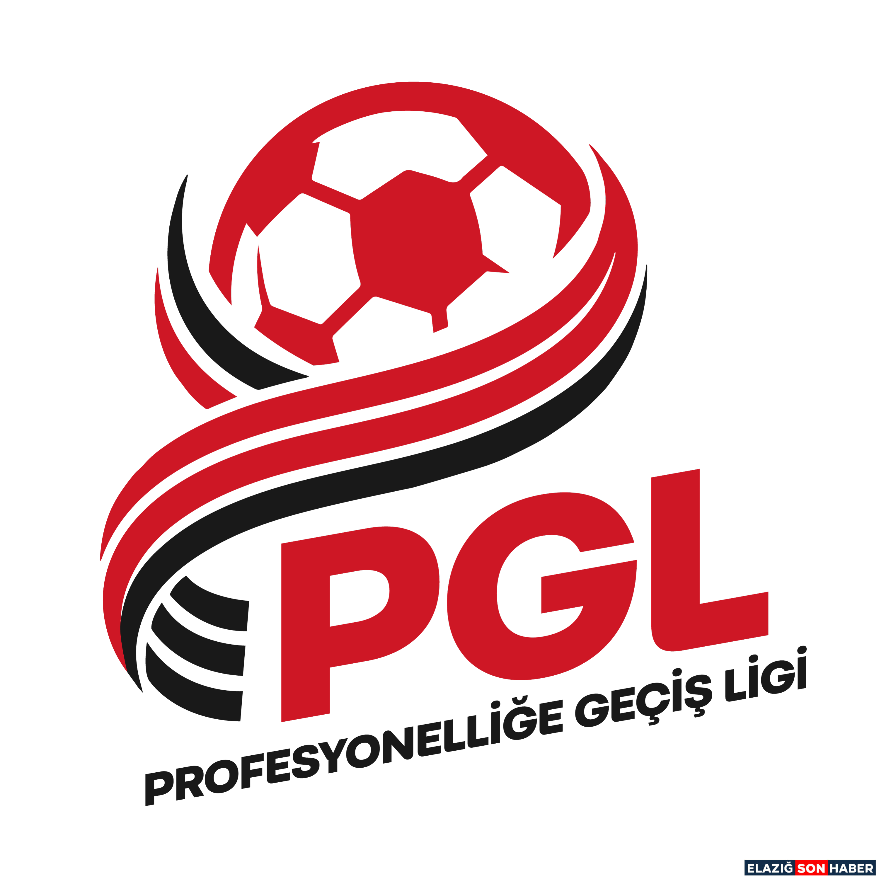 Profesyonellige Gecis Ligi