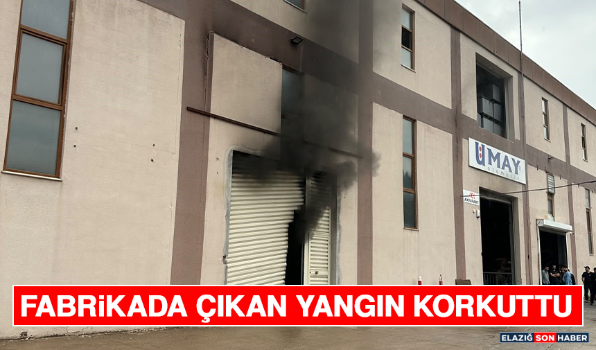 Fabrikada Çıkan Yangın Korkuttu