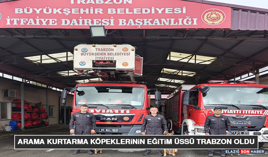 Arama Kurtarma Köpeklerinin Eğitim Üssü Trabzon Oldu