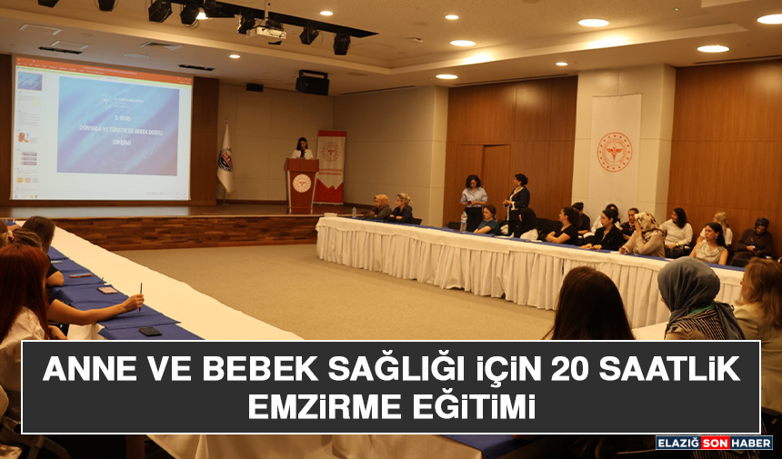 Anne ve Bebek Sağlığı İçin 20 Saatlik Emzirme Eğitimi