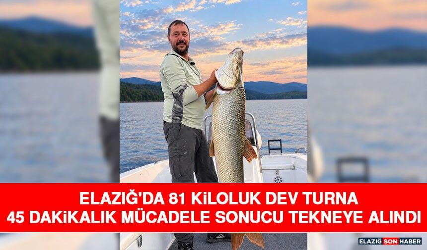 Elazığ'da 81 Kiloluk Dev Turna 45 Dakikalık Mücadele Sonucu Tekneye Alındı
