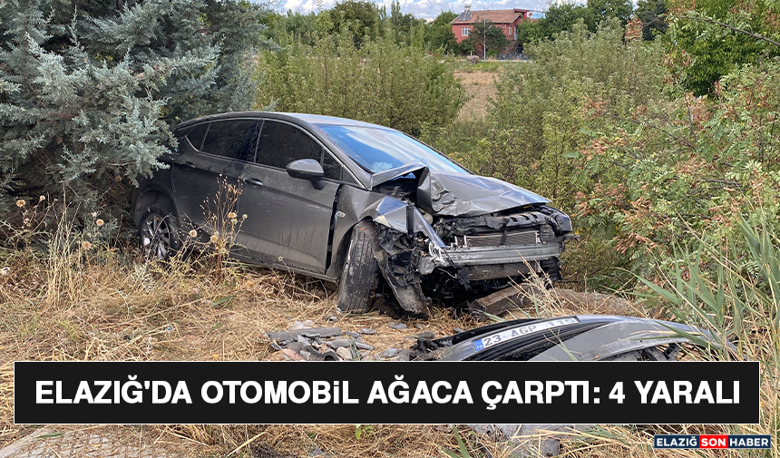 Elazığ'da Otomobil Ağaca Çarptı: 4 Yaralı