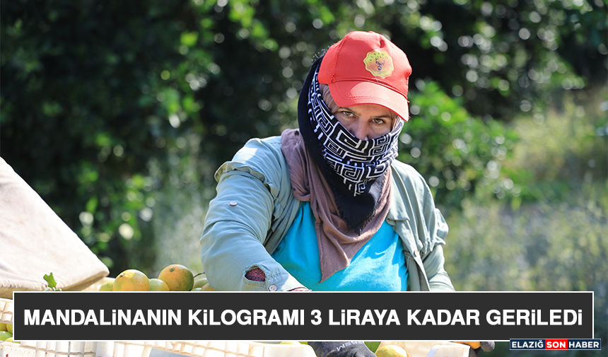 Mandalinanın Kilogramı 3 Liraya Kadar Geriledi
