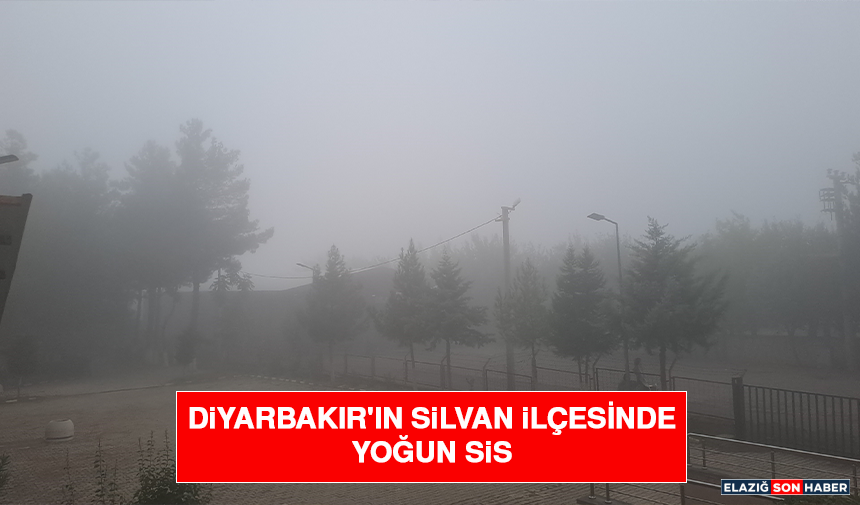 Diyarbakır'ın Silvan İlçesinde Yoğun Sis