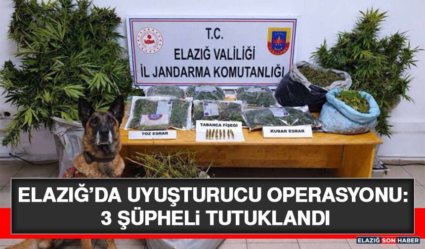 Elazığ’da Uyuşturucu Operasyonu: 3 Şüpheli Tutuklandı