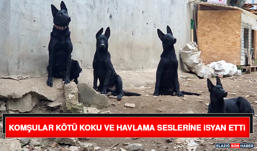 Komşular Kötü Koku ve Havlama Seslerine İsyan Etti